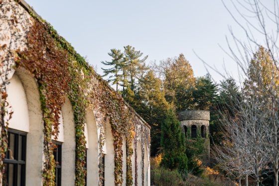 A fall scene with ivy along an arched wall, a stone tower in the background, and bare trees lined on the right.