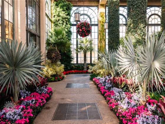 An indoor plant conservatory with pink and purple plants in the beds and a stone path in the center.