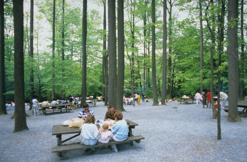 Picnic at Longwood Picnic at Longwood