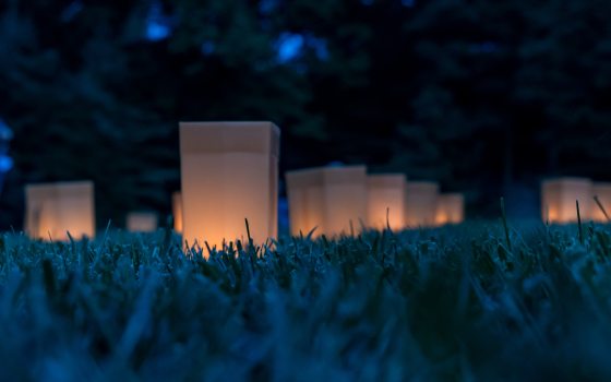 softly glowing luminaries nestled in grass at dusk