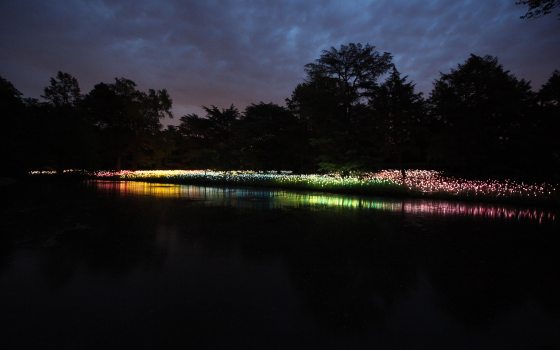 multi-colored lights along a lake at night