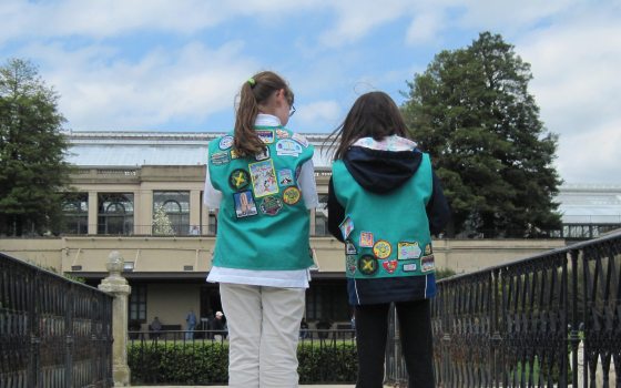 two girl scouts look with their back towards us