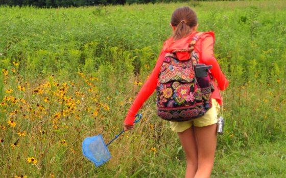 A child—with a ponytail, red zippered-warmup jacket, and colorful floral quilted backpack—skims a blue net along a meadow with yellow flowers in the foreground and taller green foliage in the background