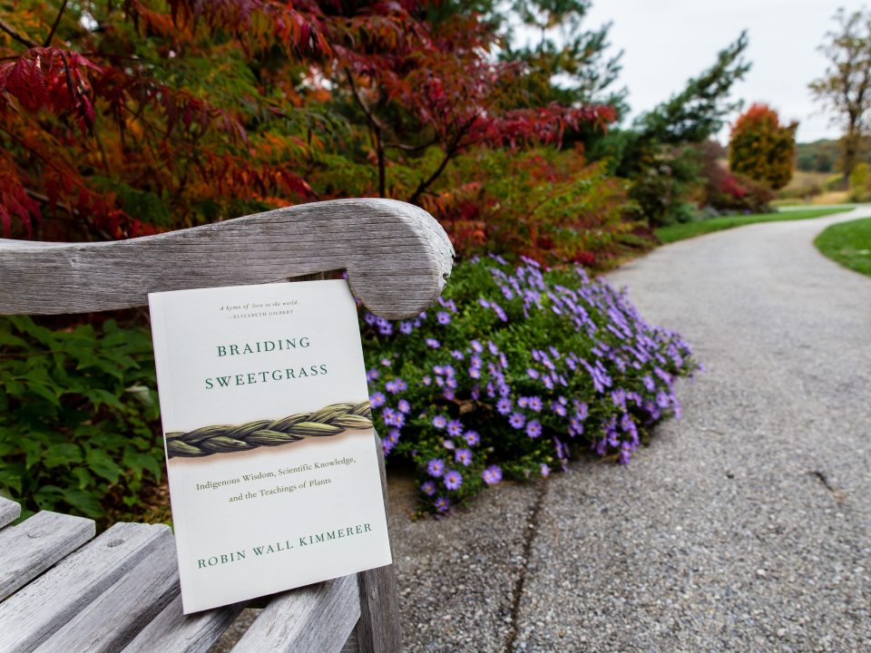 "Braiding Sweetgrass" softcover book propped up on bench on a garden path