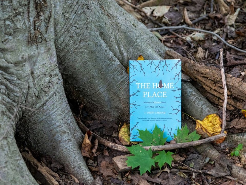 The Home Place book leaning against a tree