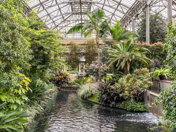 Lush plantings line an indoor pool with waterfalls, with tropical plants reaching toward arched glass and steel ceilings.