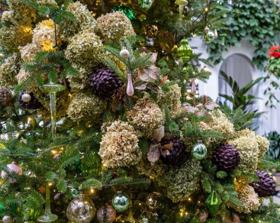 a close up of a Christmas tree with dried flowers and green ornaments 