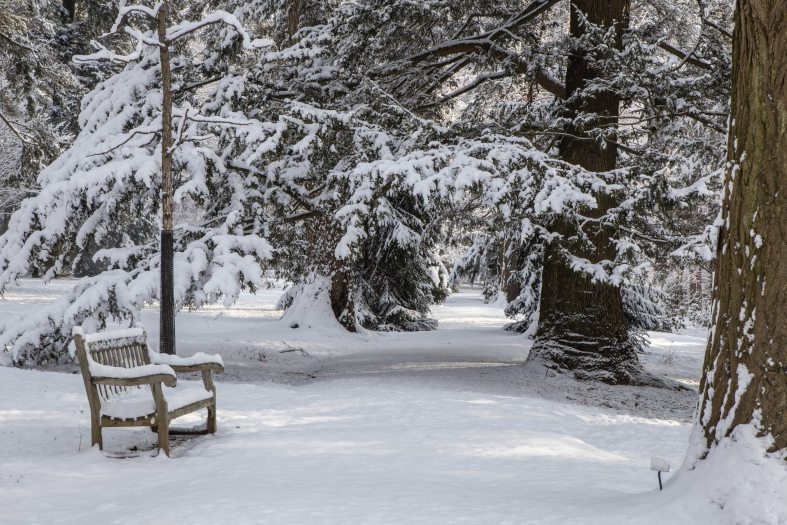 Snow covers the ground, a wooden bench, and the surrounding line of trees