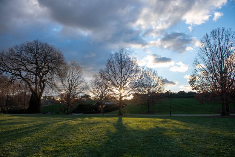 bare trees cast long shadows on a green lawn against a partly cloudy sky