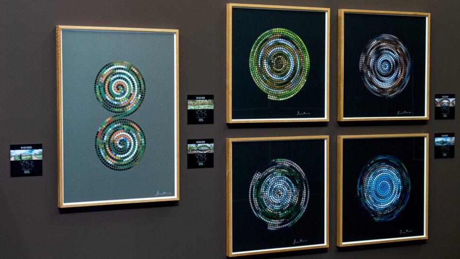 5 framed images on a wall; 4 frames each contain a spiral of various colors; 1 frame contains 2 spirals