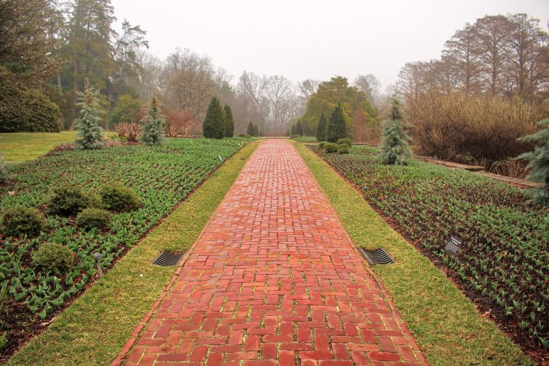 Garden beds of just blooming spring bulbs line a brick pathway under a foggy sky