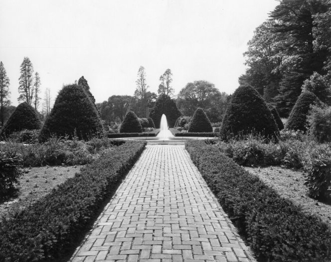 a boxwood-lined brick pathway surrounded by conical evergreen forms in a symmetrical pattern