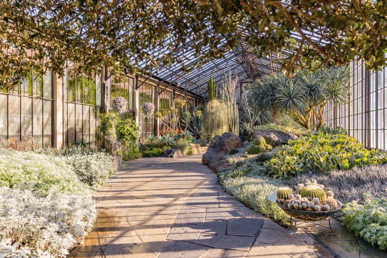 A stone path winds through an indoor garden of succulents and other desert plants.