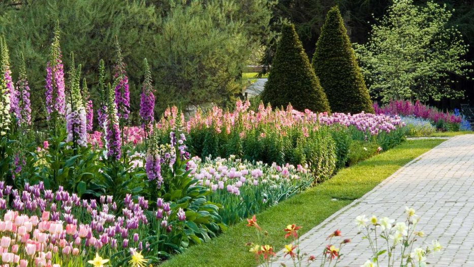 Flowers in shades of purple and pink line a brick walkway and are punctuated by cone-shaped green shrubs