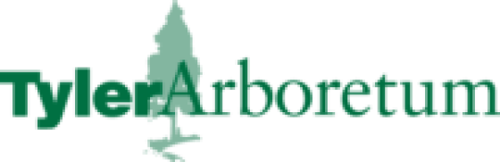 green and white logo with a tree