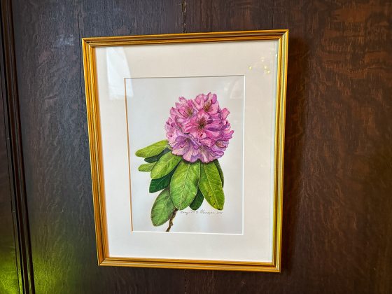 a botanical art print in a gold frame of a pink rhododendron