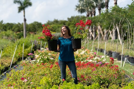 A woman in a blue shirt with brown hair holds two red plants in pots in the middle of a plant nursery. 