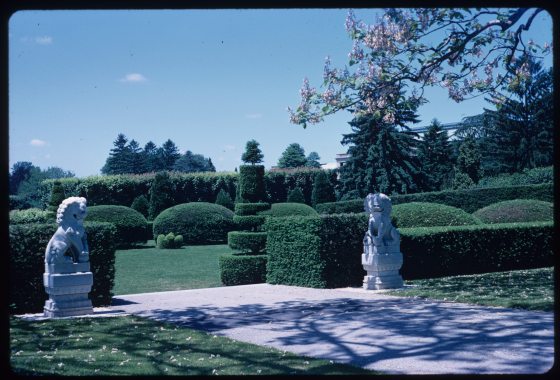 two foo dog statues standing on either side a concrete path leading into a topiary garden