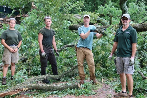 Four people standing in front of a fallen tree. 
