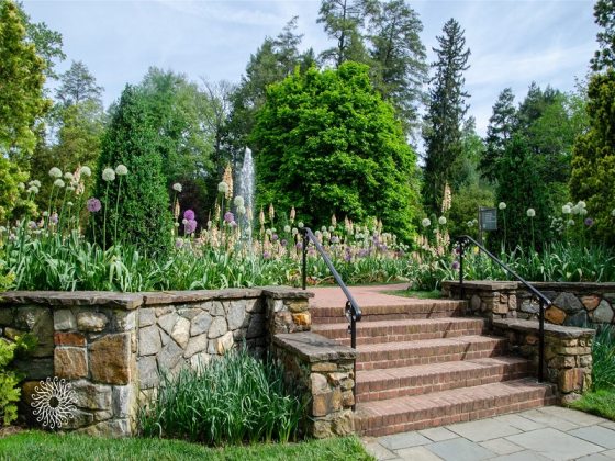 A brick staircase leading to a springtime garden with fountain.