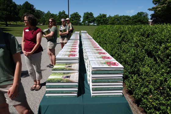Two rows of hardcover books on top of a long table 