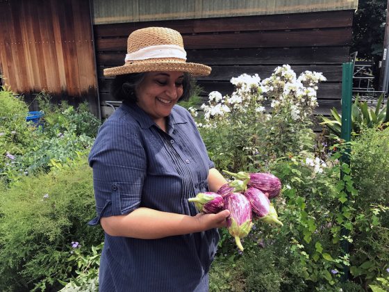 A person holding a handful of purple eggplants 