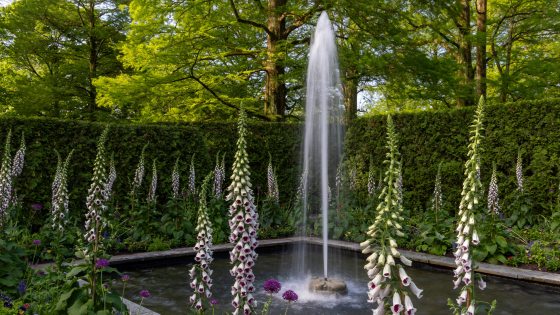 Tall spikes of white and purple Digitalis blossoms surround a single jet of water rising from a square fountain basin.