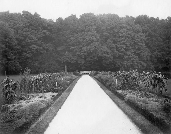 A black and white image of a dirt path leading to a stone bench and garden beds on each side.