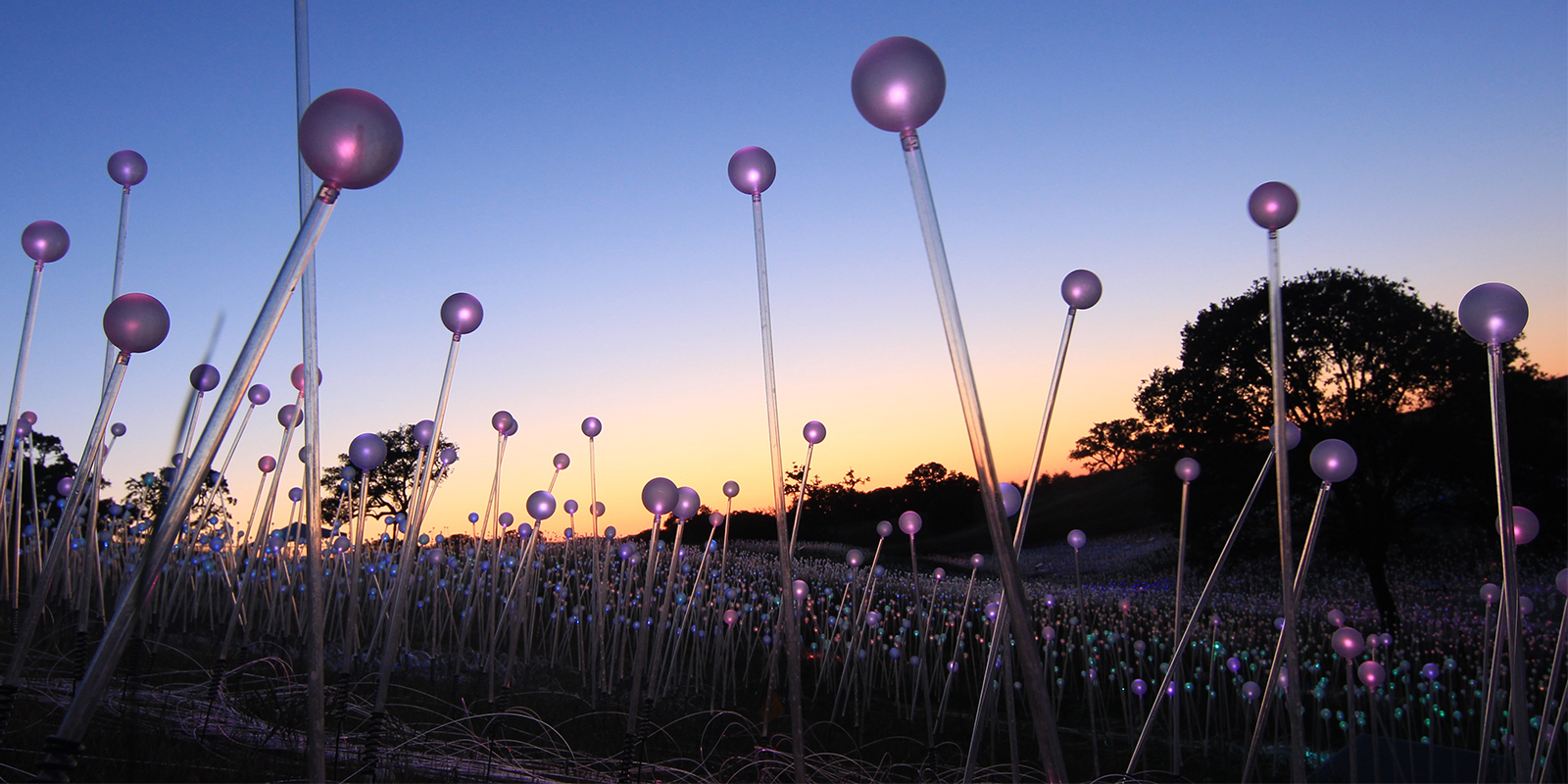 video of light installations by bruce munro