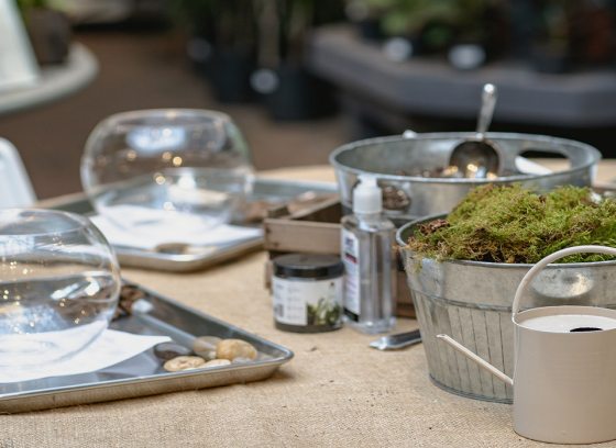table with glass terrarium vases, a watering can and planting supplies