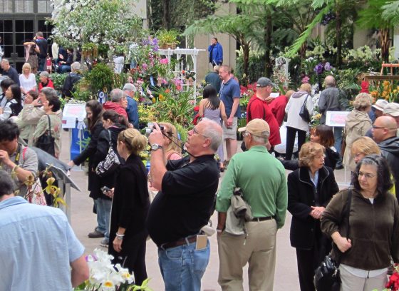 People browse among indoor blooms and foliage on a sunken garden floor