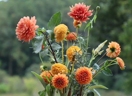 an arrangement of yellow and orange flowers and multi-textured leaves against a background of trees