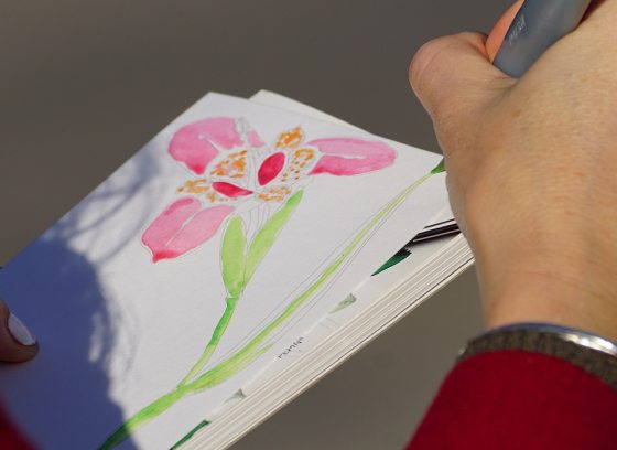 a person sketching an orchid in a sketchbook