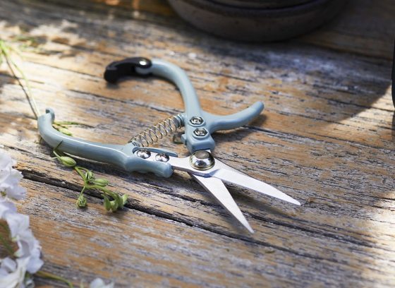 pruning shears on a wood table