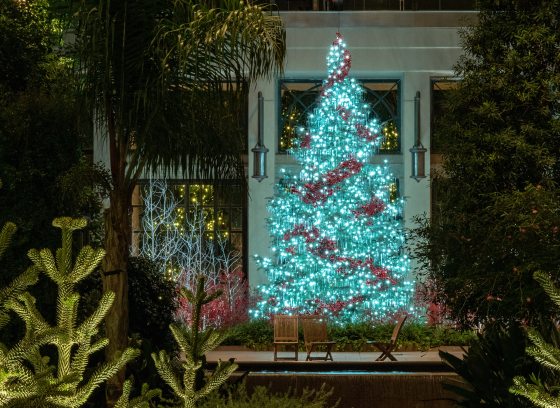 A large cut Christmas tree glows in aqua colored lights inside of a lush greenhouse