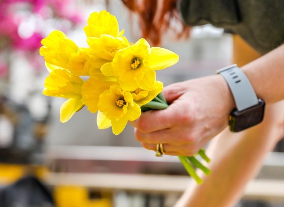 a person holds a bundle of yellow daffodils