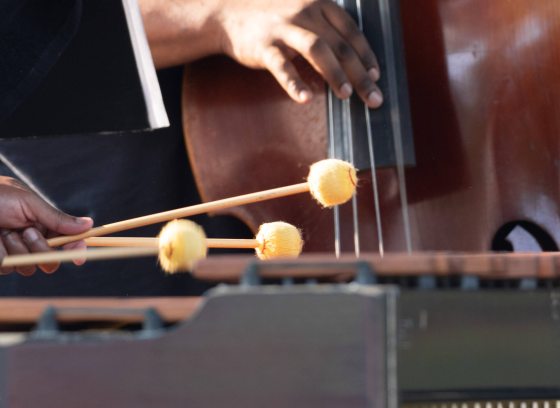 closeup of hands playing percussion, and another hand playing strings on a bass