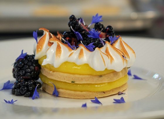 a lemon tart with blueberries on a white plate