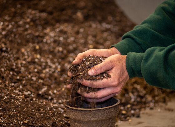 a person filling a small pot with soil