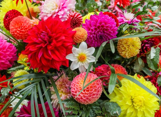 A bouquet of flowers in a variety of types in pinks, red, and yellows.