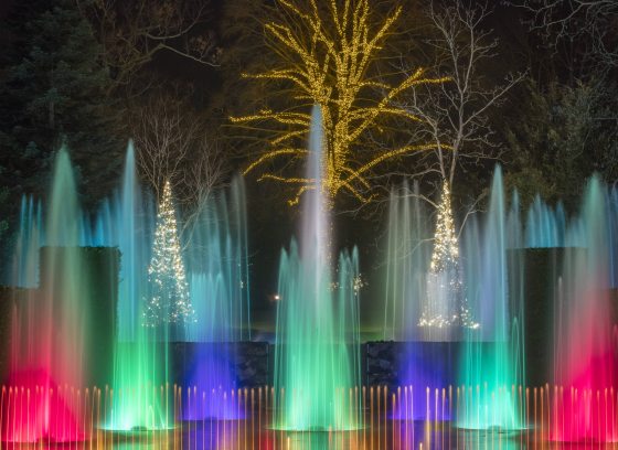 Colored fountains in bright reds, light greens, light blues, and deep purples rise from a stage, with a large tree in the background decorated in yellow-gold lights.