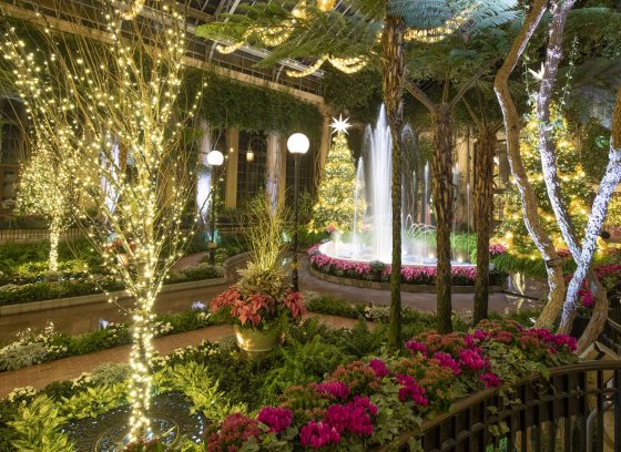 Angle shot of Exhibition Hall decorated for Christmas, with fountain and two tall Christmas trees in background, and white-lit deciduous trees and plantings of various pink and white flowers along a watery reflecting "street" and brick sidewalks.