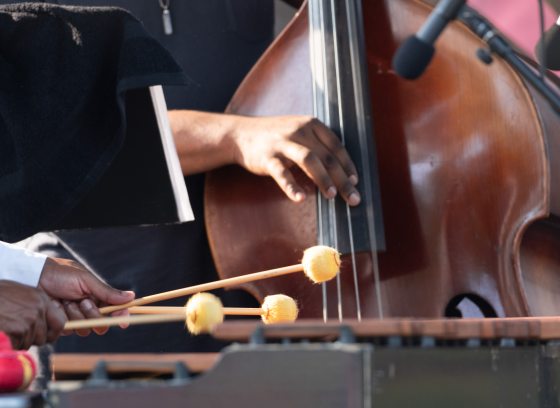 Closeup of a hand plucking strings on a bass, next to hands playing with drumsticks.