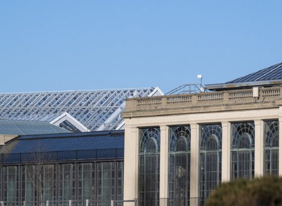 The roof lines of the Longwood Conservatories.