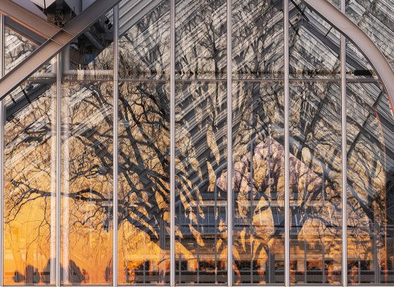 Closeup of glasshouse reflecting tree silhouettes at sunset.
