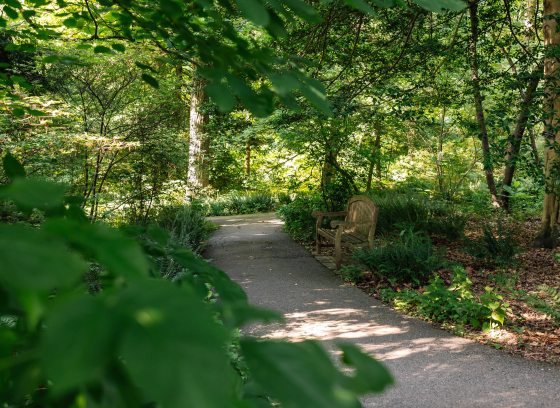 A paved path winds through a shady wooded area, with a wooden park bench to the right of the path.