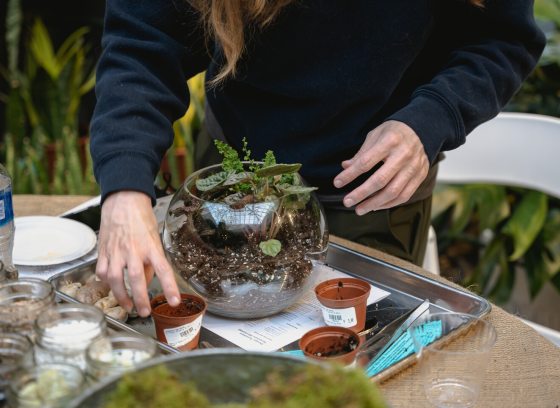 A person creating a small terrarium filled with plants and pebbles.