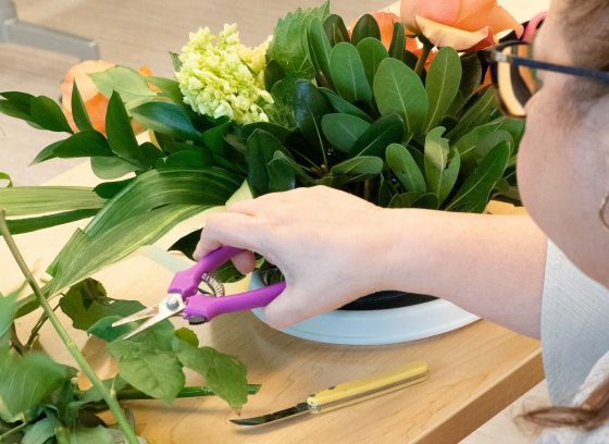 A person using purple snips to trim a flower.