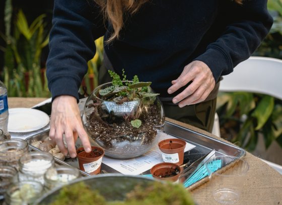 A person standing creating a terrarium with a range of materials and plants.
