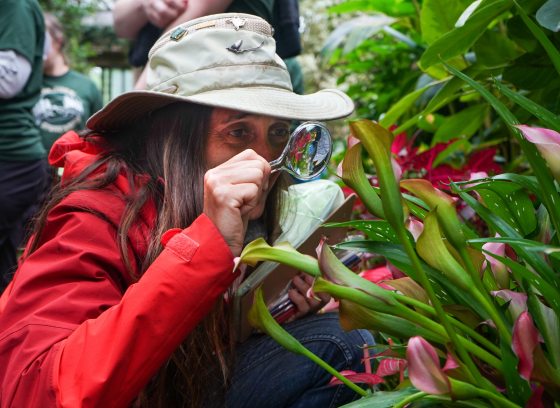 Woman examines plants through magnifying glass.